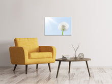 Laden Sie das Bild in den Galerie-Viewer, Leinwandbild Der Löwenzahn im Sonnenstrahl