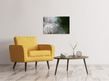 Laden Sie das Bild in den Galerie-Viewer, Leinwandbild Close up Blütenfasern