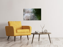 Laden Sie das Bild in den Galerie-Viewer, Leinwandbild Close up Blütenfasern