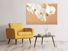 Laden Sie das Bild in den Galerie-Viewer, Leinwandbild Weisse Orchideenblüten