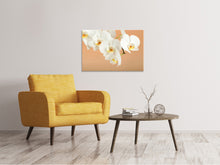 Laden Sie das Bild in den Galerie-Viewer, Leinwandbild Weisse Orchideenblüten