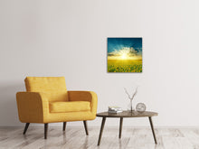 Laden Sie das Bild in den Galerie-Viewer, Leinwandbild Sonnenblumen in der Abendsonne