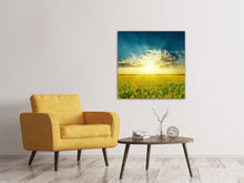 Laden Sie das Bild in den Galerie-Viewer, Leinwandbild Sonnenblumen in der Abendsonne