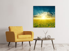 Laden Sie das Bild in den Galerie-Viewer, Leinwandbild Sonnenblumen in der Abendsonne