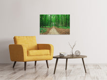 Laden Sie das Bild in den Galerie-Viewer, Leinwandbild Tannenwald