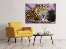 Laden Sie das Bild in den Galerie-Viewer, Leinwandbild Leopard