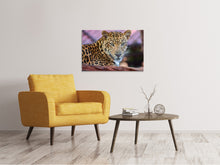 Laden Sie das Bild in den Galerie-Viewer, Leinwandbild Leopard