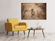 Laden Sie das Bild in den Galerie-Viewer, Leinwandbild Eleganter Gepard