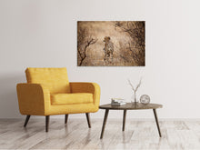 Laden Sie das Bild in den Galerie-Viewer, Leinwandbild Eleganter Gepard