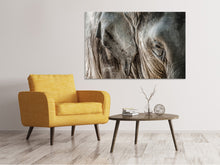 Laden Sie das Bild in den Galerie-Viewer, Leinwandbild Close Up Elefant