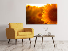 Laden Sie das Bild in den Galerie-Viewer, Leinwandbild Macro-Sonnenblume