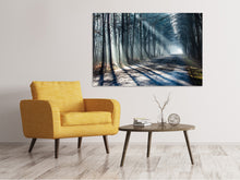 Laden Sie das Bild in den Galerie-Viewer, Leinwandbild Wald im Lichtstrahl