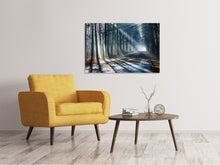 Laden Sie das Bild in den Galerie-Viewer, Leinwandbild Wald im Lichtstrahl