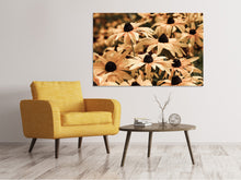 Laden Sie das Bild in den Galerie-Viewer, Leinwandbild Margeriten in Sepia
