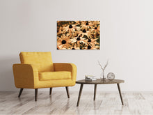 Laden Sie das Bild in den Galerie-Viewer, Leinwandbild Margeriten in Sepia