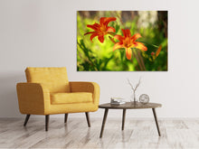 Laden Sie das Bild in den Galerie-Viewer, Leinwandbild Lilien in der Natur