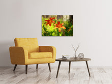 Laden Sie das Bild in den Galerie-Viewer, Leinwandbild Lilien in der Natur