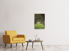 Laden Sie das Bild in den Galerie-Viewer, Leinwandbild Im Forstwald