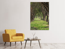 Laden Sie das Bild in den Galerie-Viewer, Leinwandbild Im Forstwald