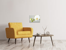 Laden Sie das Bild in den Galerie-Viewer, Leinwandbild Riesenorchidee