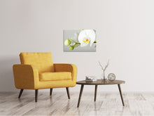 Laden Sie das Bild in den Galerie-Viewer, Leinwandbild Riesenorchidee