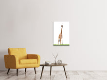Laden Sie das Bild in den Galerie-Viewer, Leinwandbild Die lange Giraffe