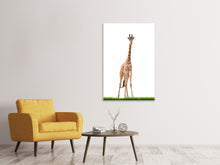 Laden Sie das Bild in den Galerie-Viewer, Leinwandbild Die lange Giraffe