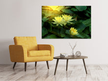 Laden Sie das Bild in den Galerie-Viewer, Leinwandbild Wilde Lotus