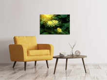 Laden Sie das Bild in den Galerie-Viewer, Leinwandbild Wilde Lotus