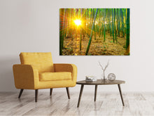 Laden Sie das Bild in den Galerie-Viewer, Leinwandbild Bambusse