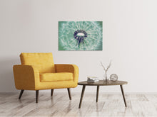 Laden Sie das Bild in den Galerie-Viewer, Leinwandbild Close Up Pusteblume