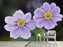 Laden Sie das Bild in den Galerie-Viewer, Fototapete 2 Blümchen