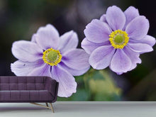 Laden Sie das Bild in den Galerie-Viewer, Fototapete 2 Blümchen