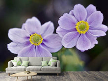 Laden Sie das Bild in den Galerie-Viewer, Fototapete 2 Blümchen