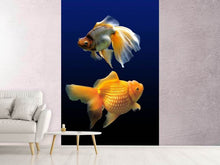 Laden Sie das Bild in den Galerie-Viewer, Fototapete 2 Lustige Fische