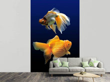 Laden Sie das Bild in den Galerie-Viewer, Fototapete 2 Lustige Fische