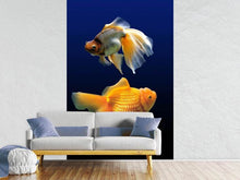 Laden Sie das Bild in den Galerie-Viewer, Fototapete 2 Lustige Fische