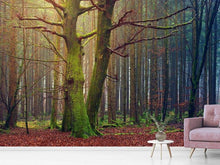 Laden Sie das Bild in den Galerie-Viewer, Fototapete Alleine im Wald
