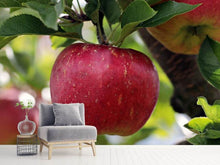 Laden Sie das Bild in den Galerie-Viewer, Fototapete Apfel in XXL