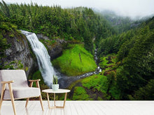 Laden Sie das Bild in den Galerie-Viewer, Fototapete Ausblick Wasserfall