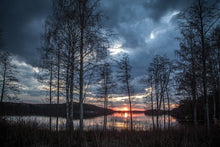 Laden Sie das Bild in den Galerie-Viewer, Fototapete Bäume am See