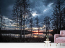 Laden Sie das Bild in den Galerie-Viewer, Fototapete Bäume am See