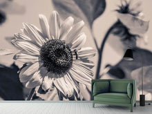 Laden Sie das Bild in den Galerie-Viewer, Fototapete Bienen auf der Sonnenblume sw