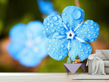 Laden Sie das Bild in den Galerie-Viewer, Fototapete Blaue Blume mit Morgentau