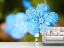 Laden Sie das Bild in den Galerie-Viewer, Fototapete Blaue Blume mit Morgentau