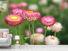 Laden Sie das Bild in den Galerie-Viewer, Fototapete Blumen des Frühlings
