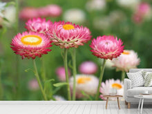 Laden Sie das Bild in den Galerie-Viewer, Fototapete Blumen des Frühlings