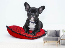 Laden Sie das Bild in den Galerie-Viewer, Fototapete Bulldogge zum Verlieben