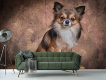 Laden Sie das Bild in den Galerie-Viewer, Fototapete Chihuahua Portrait