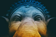Laden Sie das Bild in den Galerie-Viewer, Fototapete Close up Ganesha